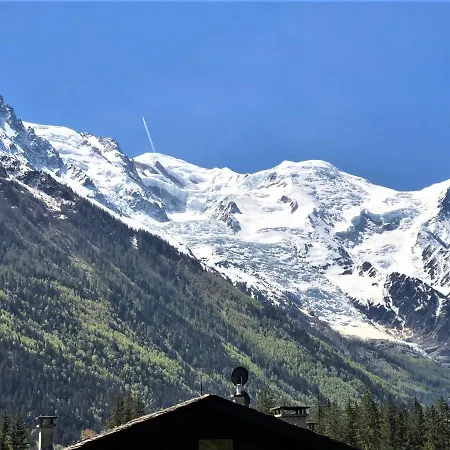 - Superbe Vue Mont Blanc *