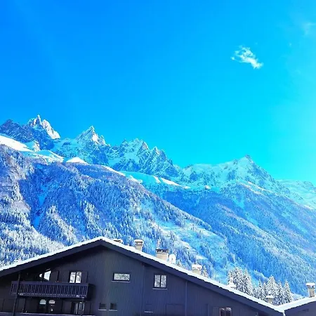 - Superbe Vue Mont Blanc Apartment