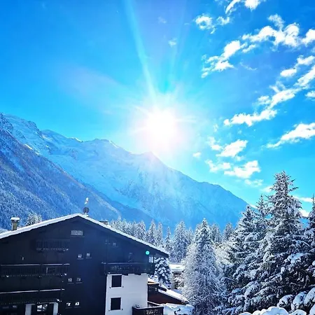 - Superbe Vue Mont Blanc Apartment *