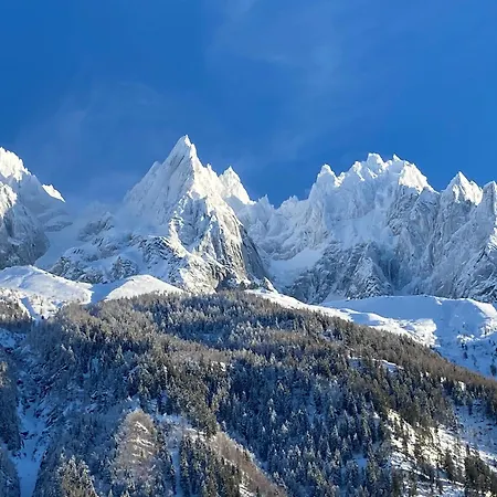 Apartment - Superbe Vue Mont Blanc Chamonix